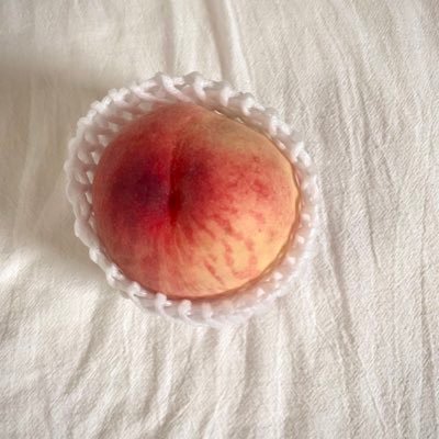 はるさんのプロフィール画像