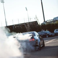 Kyle (@maddog_kyle) 's Twitter Profile