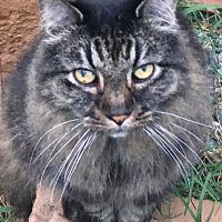 Kathy (@kathy4876673381) 's Twitter Profile Photo