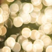 Darcy Rhodes (@highrhodestaken) 's Twitter Profile