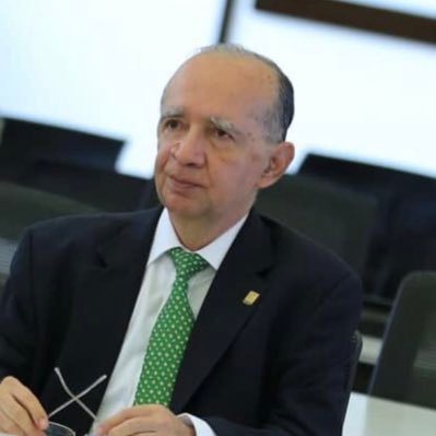Profesor Titular Laureado Universidad Industrial de Santander Ex representante profesores universitarios CESU Fundador ARPUP