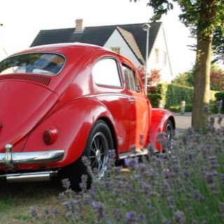 Sfekkes's profile picture. 