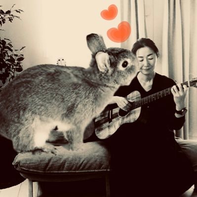 ウサギ🐇タリスト・コンポーザーとして活動中。2024年5月まで宣伝告知事項を発信。今後は下記ホームページにて情報発信をしてまいります↓是非ご覧くださいませ。