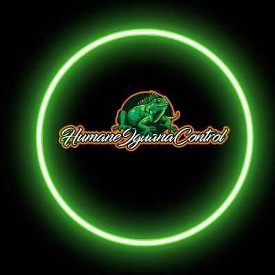 Professional Iguana Removal Services Throughout South Florida. Call Us To Find Out More (305)200-9821 #IguanaRemoval #IguanaControl
