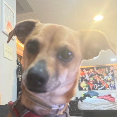 cumtillyoudropx's profile picture. Smd