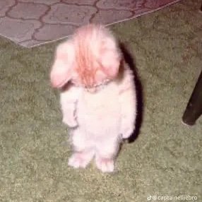 hyperflow222's profile picture. 