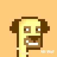 wolfnfft's profile picture. Unlocking the door to a world where art and tech collide – nfts