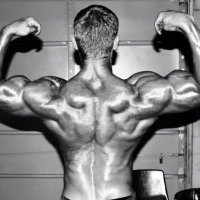 gMachine (@g_machine86937) 's Twitter Profile
