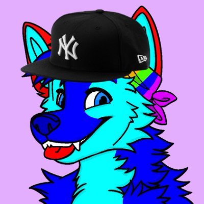 hi i am youtuber and a #railfur that love MTA and i play roblox and a Friendly Wolf