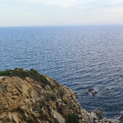 naval_d1's profile picture. enjoy the little things 💭