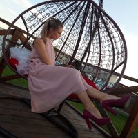 anymore100🌳 (@anymore100) 's Twitter Profile Photo