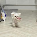 Raymond Bloomer - @RaymondBlo66621 - Twitter