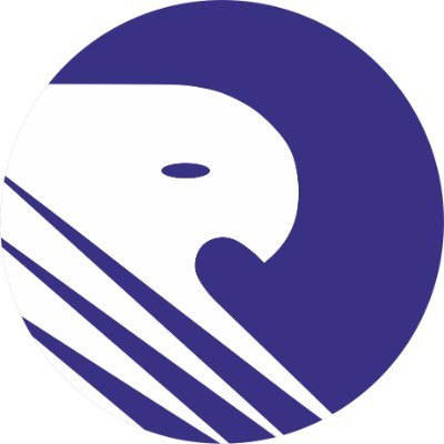 RapidYap's profile picture. 