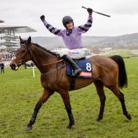 TomMaloneBloodstock (@tmbloodstock) 's Twitter Profile