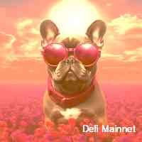 mainnetefi's profile picture. My body is an nft