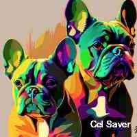 celsavear61's profile picture. Passionate about the decentralization of money and its implications.