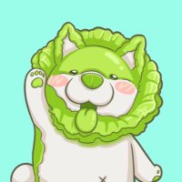 Wook｜wook98.eth (@zhengwook) 's Twitter Profile Photo