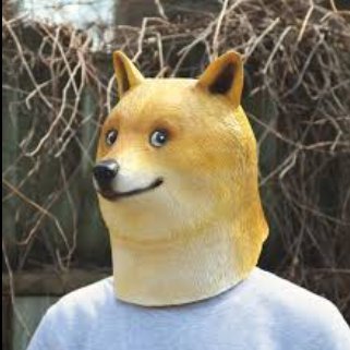 AlphaDotDoge Profile Picture