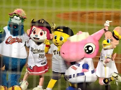 NPB⚾️独立リーグ⚾️ハヤテ223  #D67  #L50  富山TB#24 ハヤテ#2 写真&動画の保存はご自由にどうぞ→本人様以外の無断転載&加工 アイコン 配布等はやめてね🙏
努力が報われることを願って応援しています。既婚者💍(右投げ左打ち)
がんばろう北陸🌈