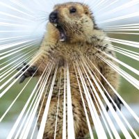 マツ (@matsu_brother23) Twitter profile photo