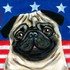 yay (@yay) Twitter profile photo yay (@yay) Twitter profile photo
