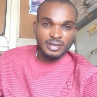 software engineer, (web and mobile development)