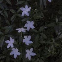 punnnn (@itsqleng) 's Twitter Profile
