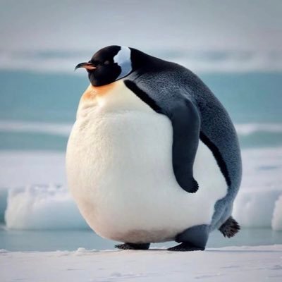 hinabon9's profile picture. 