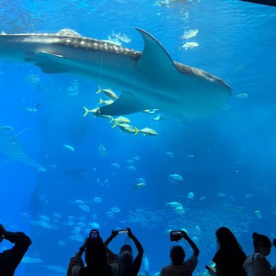 MONDEN_EIJUN's profile picture. 