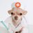 dirveterinario's profile image