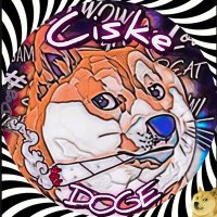 CiskeDoge 🧡⚡💚 CustomCreations(@Ciske53856449) 's Twitter Profile Photo