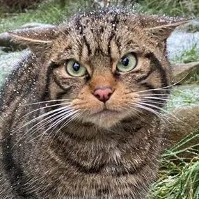 bt3r_1nf0's profile picture. 