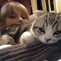 ㅈㄴ (taylor's version) (@juneissance) 's Twitter Profile