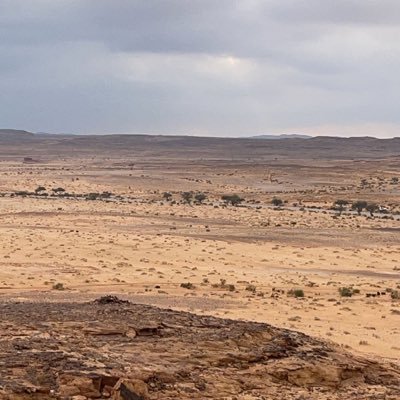 Mohamme73177302's profile picture. سبحان الله وبحمده