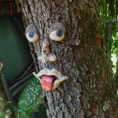 just a face on a tree.... what did you expect?