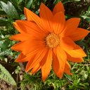 Alison Palmer - @AlisonPalm10172 - Twitter