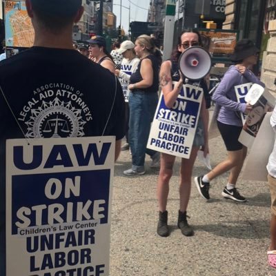 cbeargavs's profile picture. union organizer. i have a lot of cats. she/her.