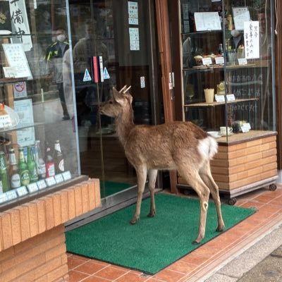 リンさんのプロフィール画像