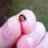 Plushimi's profile image