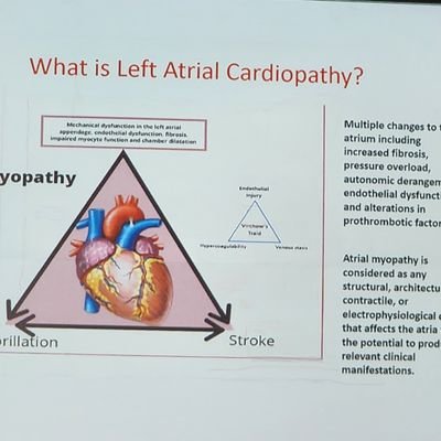 Echocardiography/Intensive Care