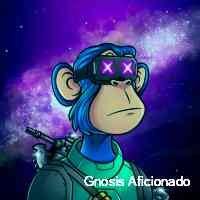 aficionadognos's profile picture. Creating a legacy in the digital world through nfts