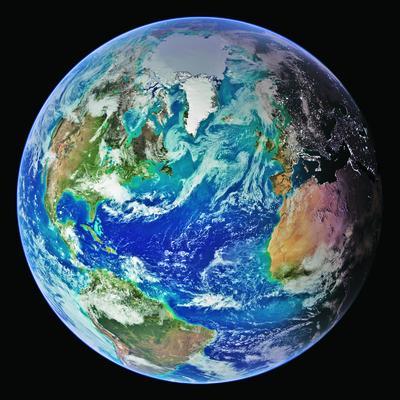 LinearPoint's profile picture. 