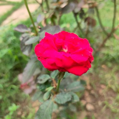 shashank_392's profile picture. Be coool