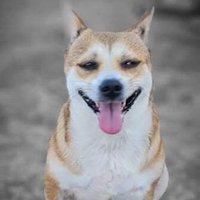 Jeffrey Jaylo (@jaylojeffrey) 's Twitter Profile