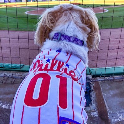 BaseballBetsy Profile Picture