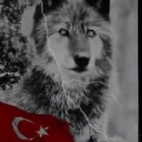 🇹🇷 KURTBEY 🇹🇷 (@dert_34) 's Twitter Profile