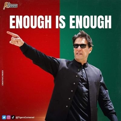 #Anti establishment #Anti PDM #Anti Mafia #Pro Pti Supporter #Pro Imran Khan Fan