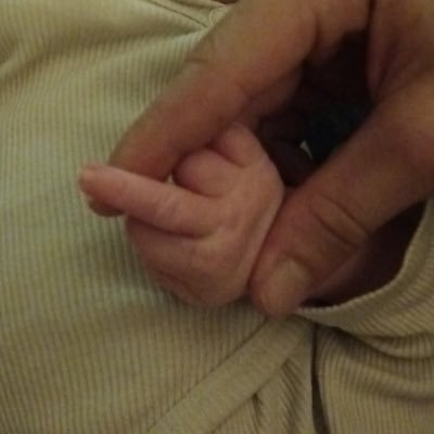 sarj_mn's profile picture. 2804