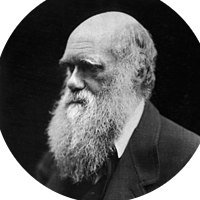 First_step1930's profile picture. 