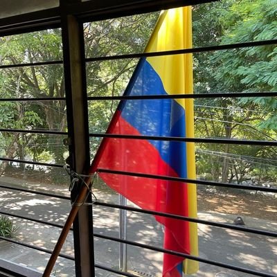 Magister en Salud Pública y Desarrollo Social.